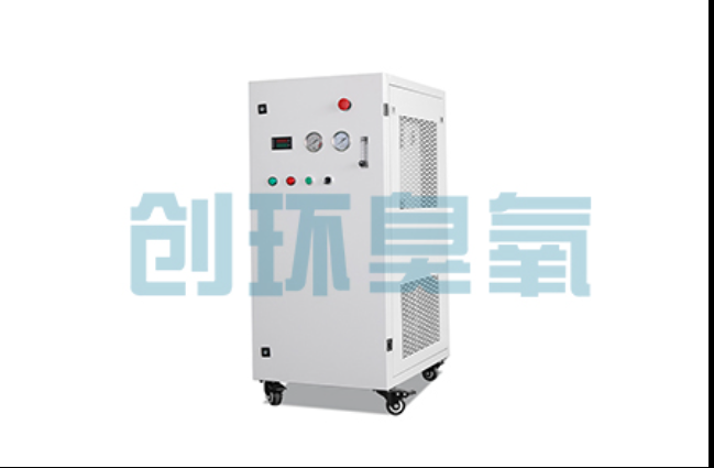 保山工厂化养鲈必看：2026年臭氧发生器替代传统消毒的最新方案