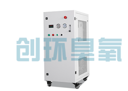 保山石斑鱼养殖水质调控完整指南:臭氧发生器配置与操作步骤