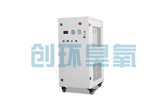 保山比传统换水更高效?臭氧发生器在石斑鱼养殖中的水质净化原理解析