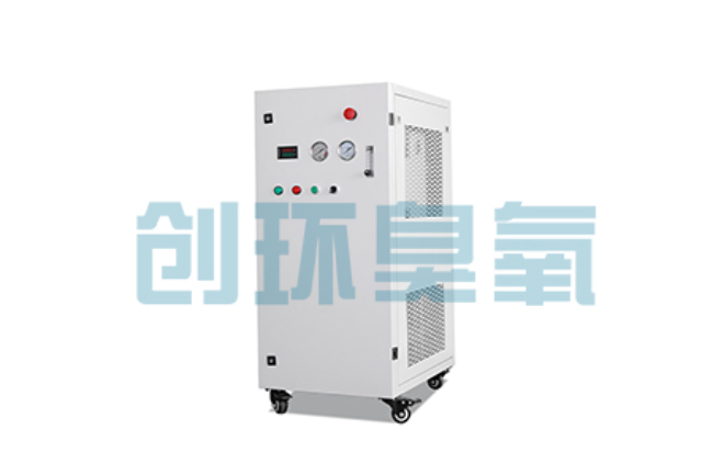 保山比传统换水更高效？臭氧发生器在石斑鱼养殖中的水质净化原理解析